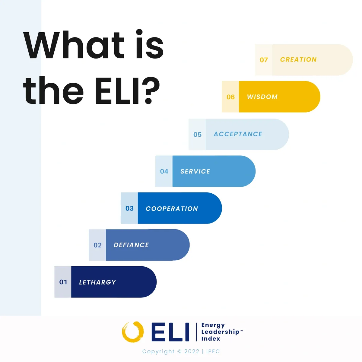 ELI Energy Leadership Map