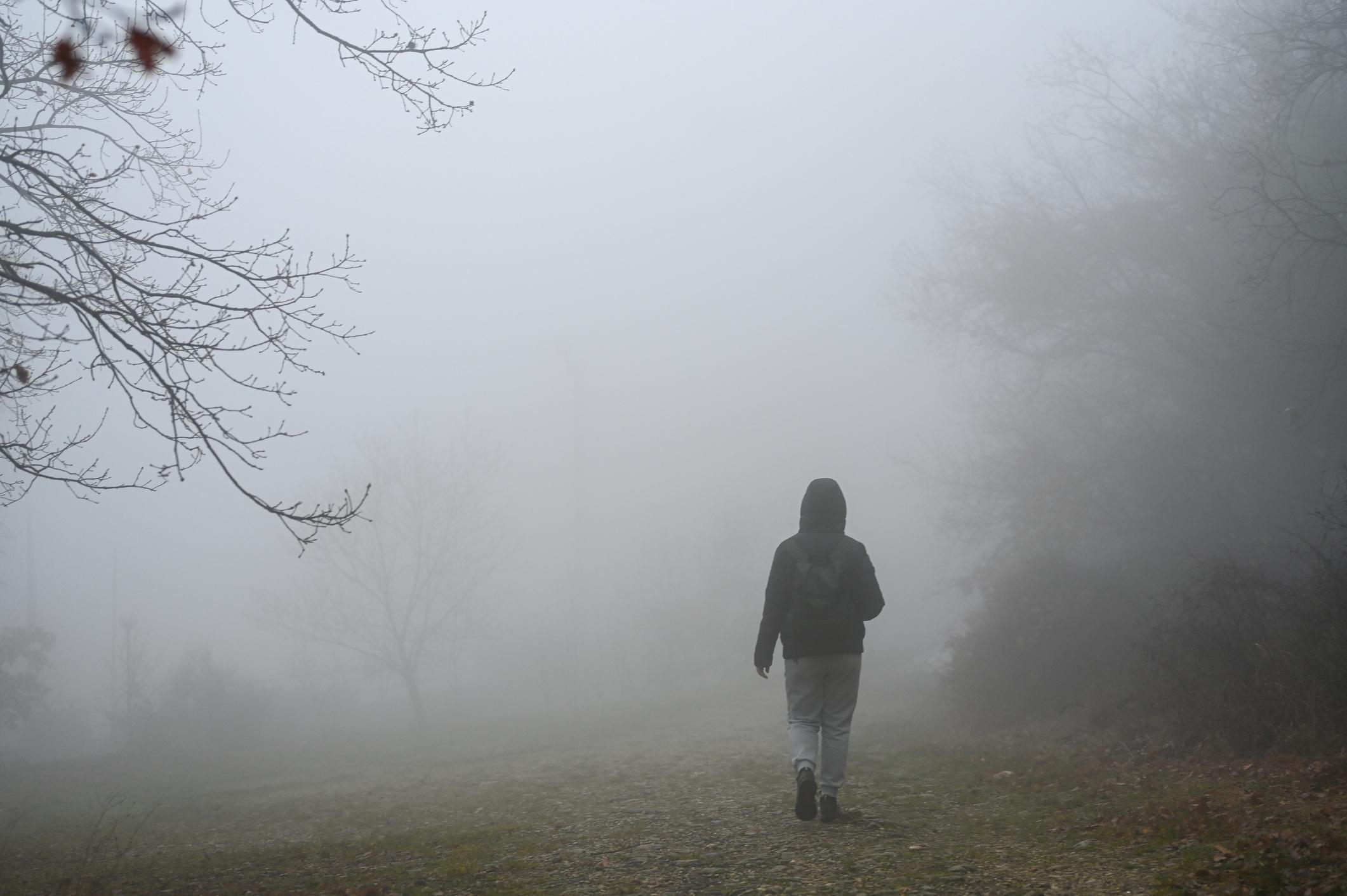 Foggy path representing clarity through action